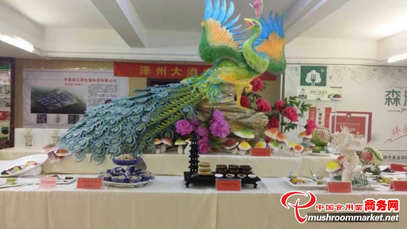 杭州亞運(yùn)會(huì)官方靈芝產(chǎn)品供應(yīng)商|杭州亞運(yùn)會(huì)官方供應(yīng)商|中國靈芝十大品牌|仙客來靈芝|仙客來靈芝破壁孢子粉|仙客來孢子油|仙客來靈芝飲片|仙客來破壁孢子粉|靈芝孢子油|孢子粉|靈芝破壁孢子粉|靈芝|中華老字號(hào)