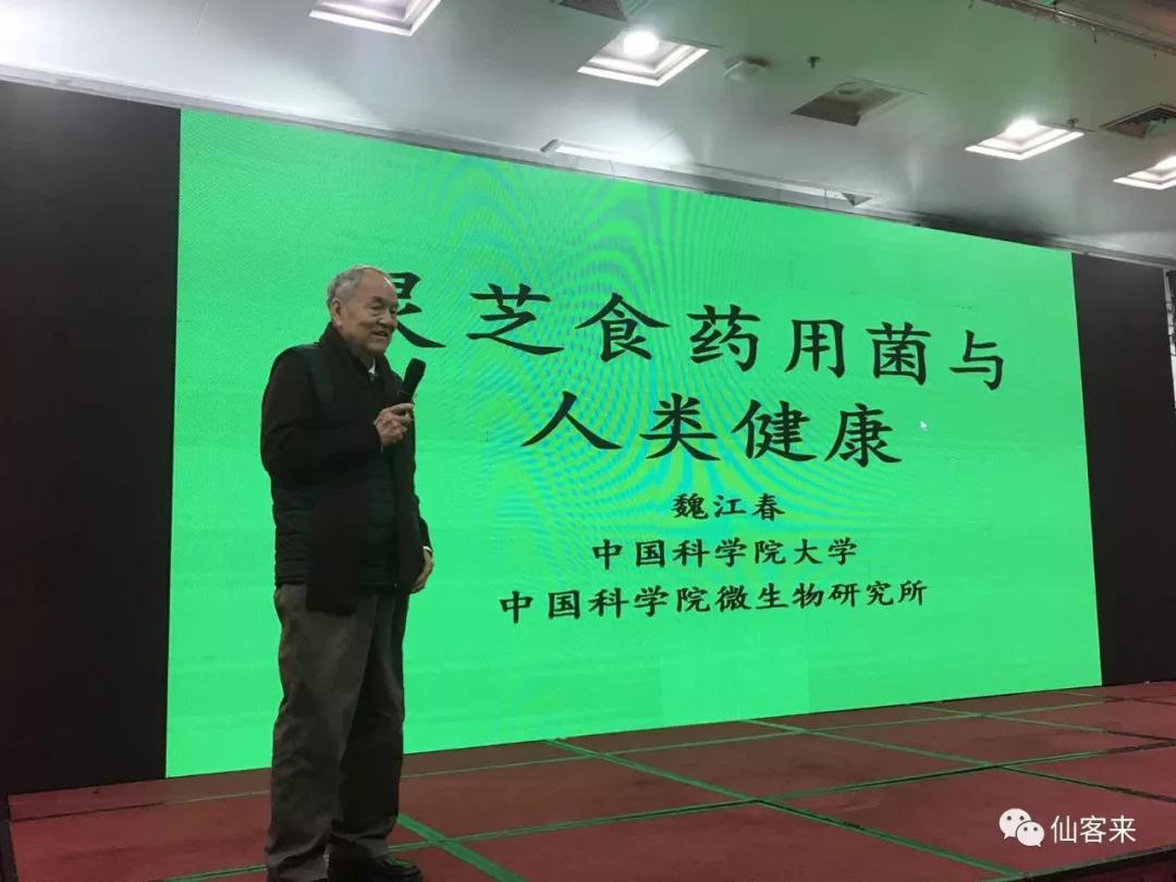 杭州亞運(yùn)會(huì)官方靈芝產(chǎn)品供應(yīng)商|杭州亞運(yùn)會(huì)官方供應(yīng)商|中國靈芝十大品牌|仙客來靈芝|仙客來靈芝破壁孢子粉|仙客來孢子油|仙客來靈芝飲片|仙客來破壁孢子粉|靈芝孢子油|孢子粉|靈芝破壁孢子粉|靈芝|中華老字號(hào)