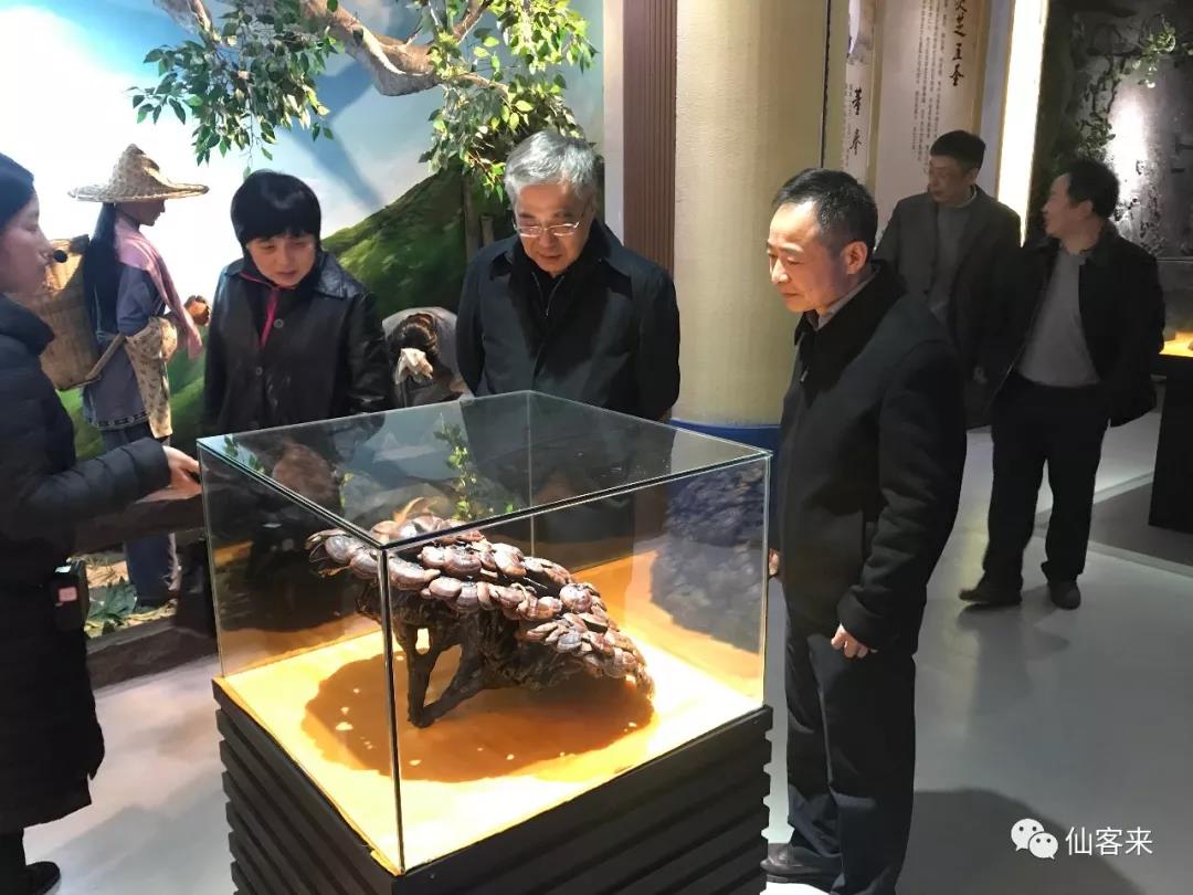 中國靈芝十大品牌|仙客來靈芝|仙客來靈芝破壁孢子粉|仙客來孢子油|仙客來靈芝飲片|仙客來破壁孢子粉|仙客來靈芝中藥飲片|馳名商標(biāo)|ampersand-ads.com|