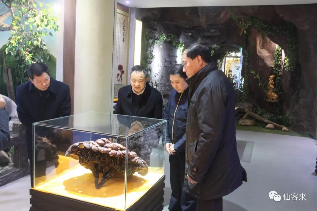 中國靈芝十大品牌|仙客來靈芝|仙客來靈芝破壁孢子粉|仙客來孢子油|仙客來靈芝飲片|仙客來破壁孢子粉|仙客來靈芝中藥飲片|馳名商標(biāo)|ampersand-ads.com|