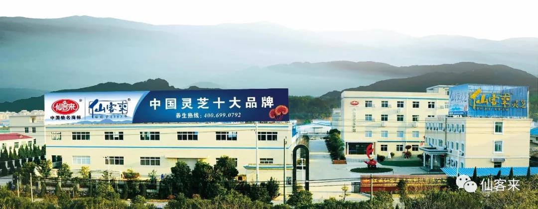 中國靈芝十大品牌|仙客來靈芝|仙客來靈芝破壁孢子粉|仙客來孢子油|仙客來靈芝飲片|仙客來破壁孢子粉|仙客來靈芝中藥飲片|馳名商標(biāo)|ampersand-ads.com|