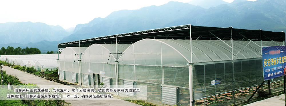 中國靈芝十大品牌|仙客來靈芝|仙客來靈芝破壁孢子粉|仙客來孢子油|仙客來靈芝飲片|仙客來破壁孢子粉|仙客來靈芝中藥飲片|馳名商標(biāo)|ampersand-ads.com|