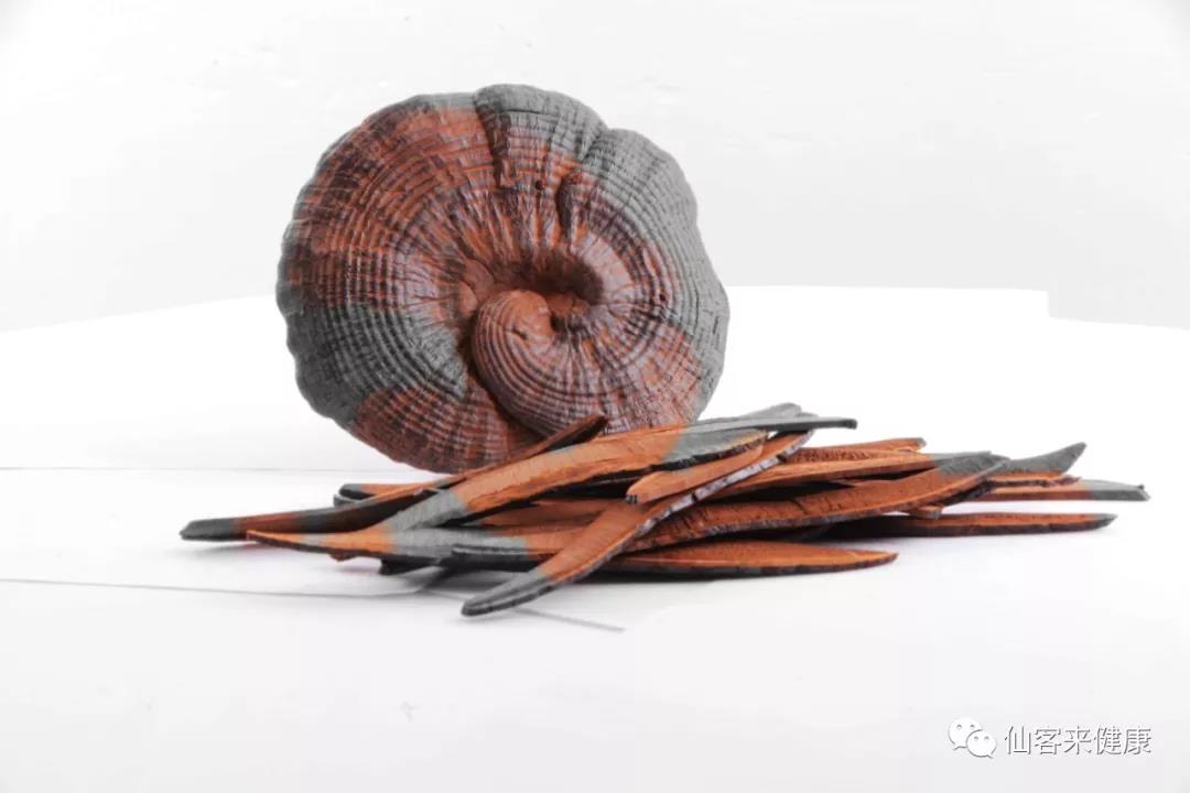 中國靈芝十大品牌|仙客來靈芝|仙客來靈芝破壁孢子粉|仙客來孢子油|仙客來靈芝飲片|仙客來破壁孢子粉|仙客來靈芝中藥飲片|馳名商標|ampersand-ads.com|