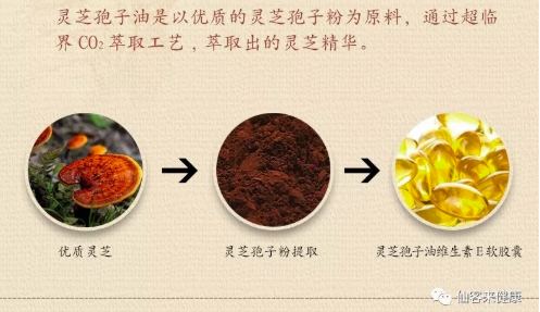 中國靈芝十大品牌|仙客來靈芝|仙客來靈芝破壁孢子粉|仙客來孢子油|仙客來靈芝飲片|仙客來破壁孢子粉|仙客來靈芝中藥飲片|馳名商標|ampersand-ads.com|