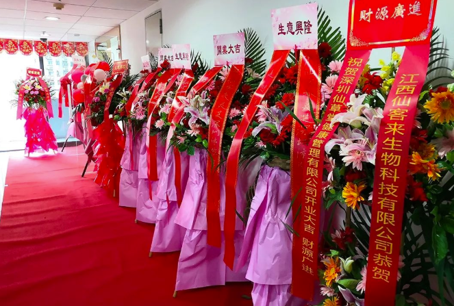 中國靈芝十大品牌|仙客來靈芝|仙客來靈芝破壁孢子粉|仙客來孢子油|仙客來靈芝飲片|仙客來破壁孢子粉|仙客來靈芝中藥飲片|馳名商標(biāo)|ampersand-ads.com|