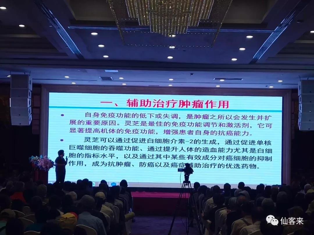 杭州亞運會官方靈芝產(chǎn)品供應商|杭州亞運會官方供應商|中國靈芝十大品牌|仙客來靈芝|仙客來靈芝破壁孢子粉|仙客來孢子油|仙客來靈芝飲片|仙客來破壁孢子粉|靈芝孢子油|孢子粉|靈芝破壁孢子粉|靈芝|中華老字號