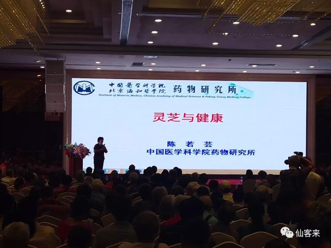 杭州亞運會官方靈芝產(chǎn)品供應商|杭州亞運會官方供應商|中國靈芝十大品牌|仙客來靈芝|仙客來靈芝破壁孢子粉|仙客來孢子油|仙客來靈芝飲片|仙客來破壁孢子粉|靈芝孢子油|孢子粉|靈芝破壁孢子粉|靈芝|中華老字號