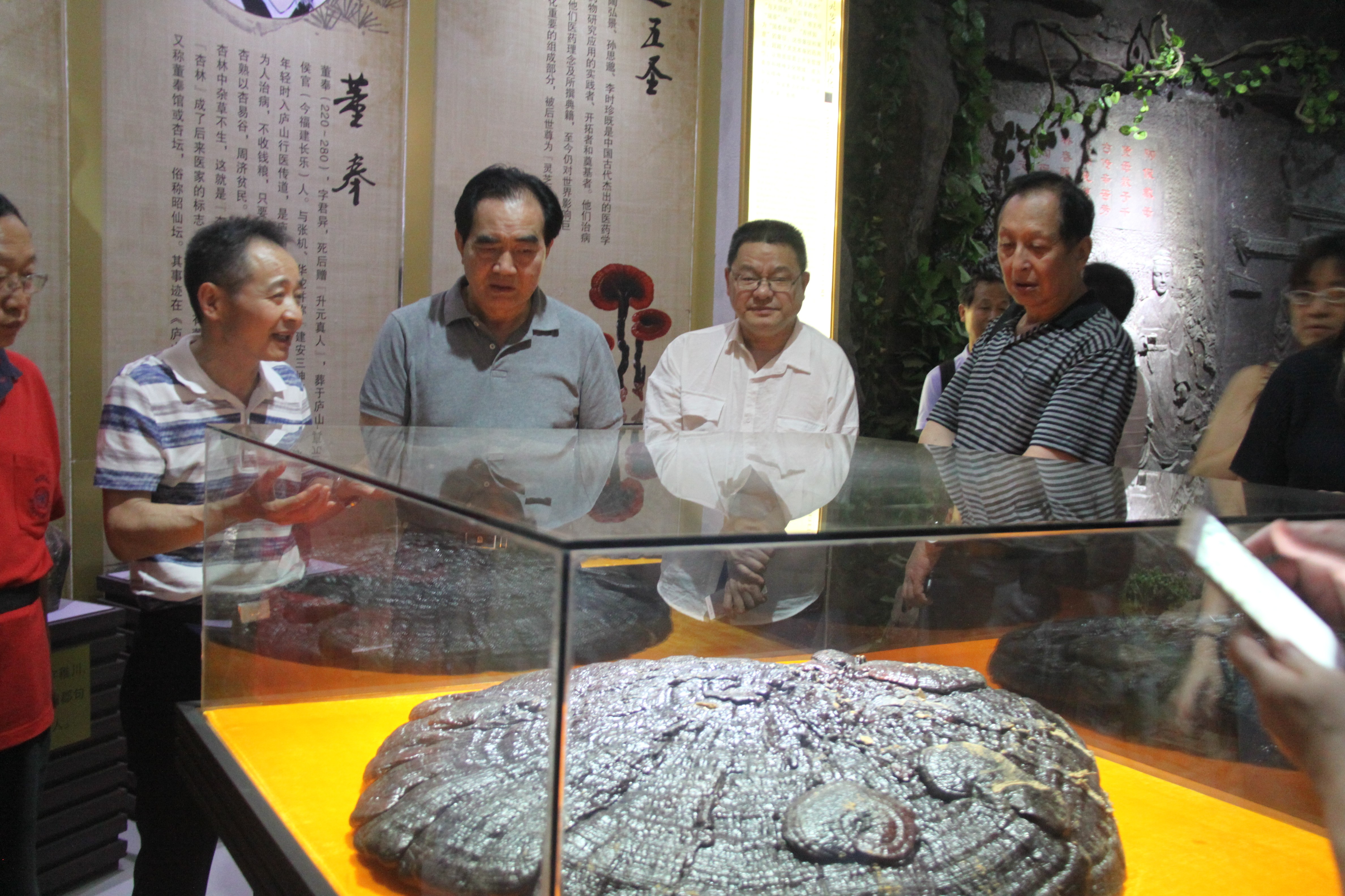 中國靈芝十大品牌|仙客來靈芝|仙客來靈芝破壁孢子粉|仙客來孢子油|仙客來靈芝飲片|仙客來破壁孢子粉|仙客來靈芝中藥飲片|馳名商標(biāo)|ampersand-ads.com|