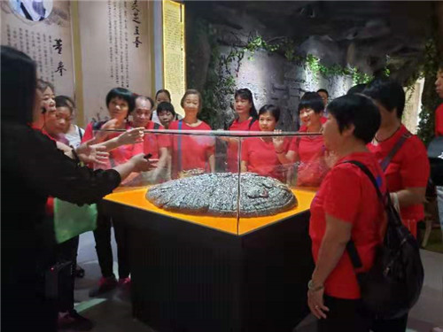 中國靈芝十大品牌|仙客來靈芝|仙客來靈芝破壁孢子粉|仙客來孢子油|仙客來靈芝飲片|仙客來破壁孢子粉|仙客來靈芝中藥飲片|馳名商標|ampersand-ads.com|
