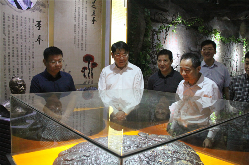 中國靈芝十大品牌|仙客來靈芝|仙客來靈芝破壁孢子粉|仙客來孢子油|仙客來靈芝飲片|仙客來破壁孢子粉|仙客來靈芝中藥飲片|馳名商標(biāo)|ampersand-ads.com|