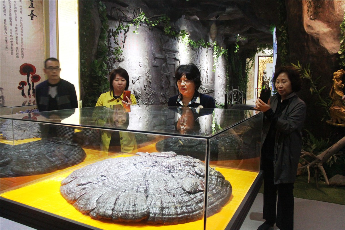 中國(guó)靈芝十大品牌|仙客來靈芝|仙客來靈芝破壁孢子粉|仙客來孢子油|仙客來靈芝飲片|仙客來破壁孢子粉|仙客來靈芝中藥飲片|馳名商標(biāo)|ampersand-ads.com|