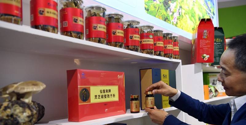 中國靈芝十大品牌|仙客來靈芝|仙客來靈芝破壁孢子粉|仙客來孢子油|仙客來靈芝飲片|仙客來破壁孢子粉|仙客來靈芝中藥飲片|馳名商標|ampersand-ads.com|