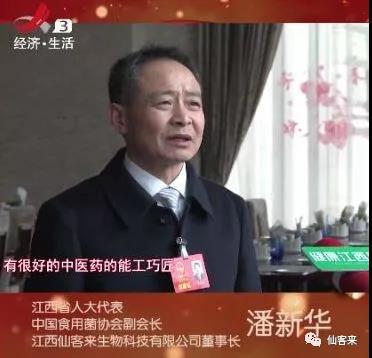 中國(guó)靈芝十大品牌|仙客來(lái)靈芝|仙客來(lái)靈芝破壁孢子粉|仙客來(lái)孢子油|仙客來(lái)靈芝飲片|仙客來(lái)破壁孢子粉|仙客來(lái)靈芝中藥飲片|馳名商標(biāo)|ampersand-ads.com|