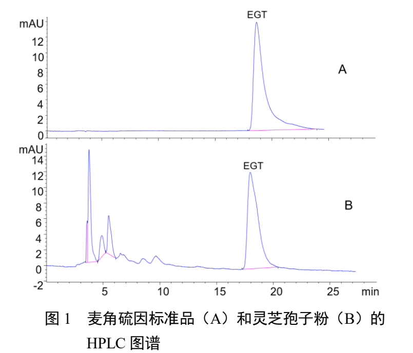 杭州亞運(yùn)會(huì)官方靈芝產(chǎn)品供應(yīng)商|杭州亞運(yùn)會(huì)官方供應(yīng)商|中國靈芝十大品牌|仙客來靈芝|仙客來靈芝破壁孢子粉|仙客來孢子油|仙客來靈芝飲片|仙客來破壁孢子粉|靈芝孢子油|孢子粉|靈芝破壁孢子粉|靈芝|中華老字號(hào)