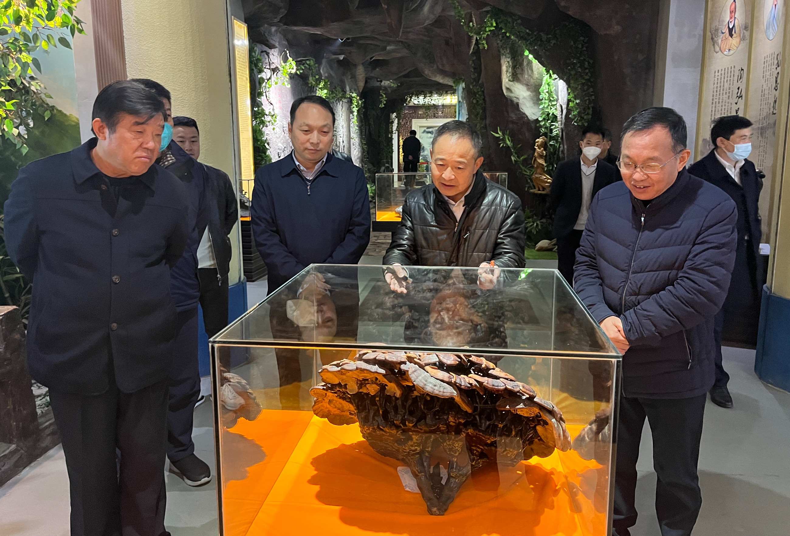 杭州亞運(yùn)會(huì)官方靈芝產(chǎn)品供應(yīng)商|杭州亞運(yùn)會(huì)官方供應(yīng)商|中國(guó)靈芝十大品牌|仙客來靈芝|仙客來靈芝破壁孢子粉|仙客來孢子油|仙客來靈芝飲片|仙客來破壁孢子粉|靈芝孢子油|孢子粉|靈芝破壁孢子粉|靈芝|中華老字號(hào)