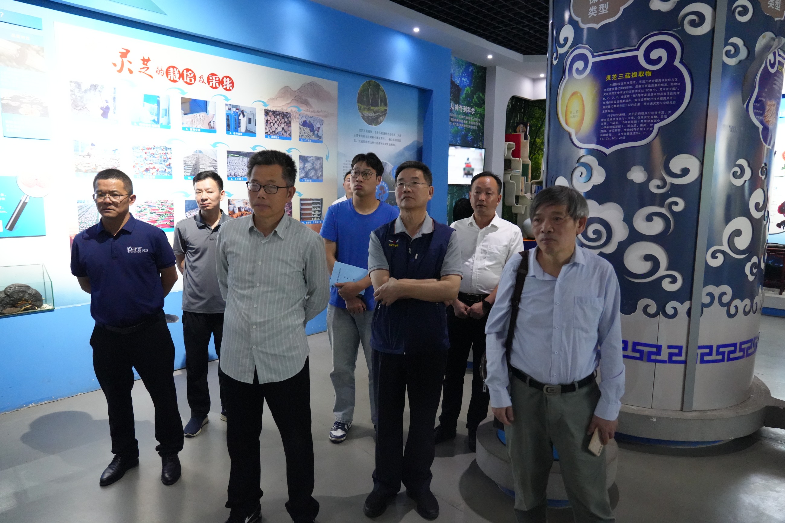 杭州亞運會官方靈芝產品供應商|杭州亞運會官方供應商|中國靈芝十大品牌|仙客來靈芝|仙客來靈芝破壁孢子粉|仙客來孢子油|仙客來靈芝飲片|仙客來破壁孢子粉|靈芝孢子油|孢子粉|靈芝破壁孢子粉|靈芝|中華老字號