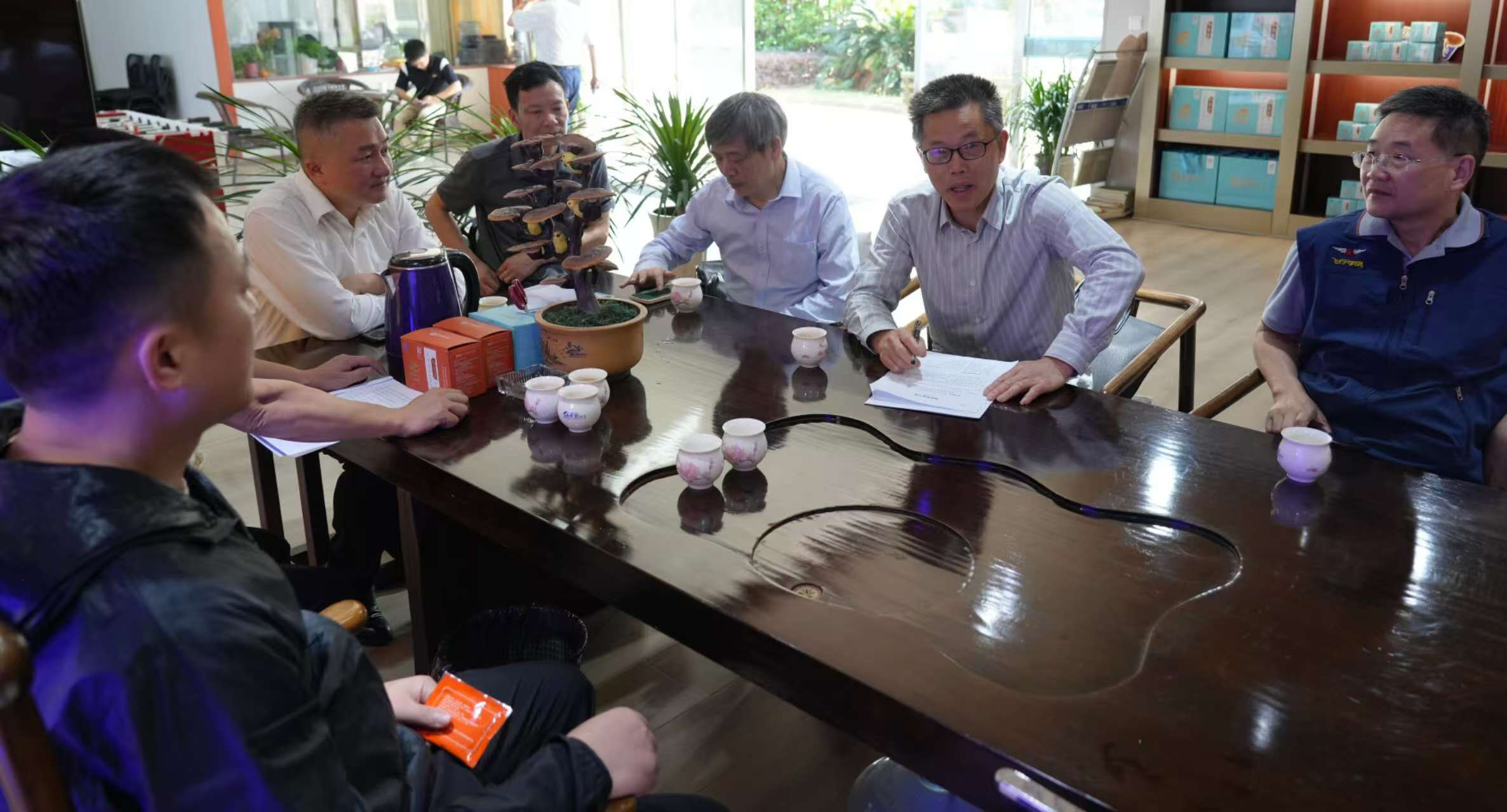 杭州亞運會官方靈芝產品供應商|杭州亞運會官方供應商|中國靈芝十大品牌|仙客來靈芝|仙客來靈芝破壁孢子粉|仙客來孢子油|仙客來靈芝飲片|仙客來破壁孢子粉|靈芝孢子油|孢子粉|靈芝破壁孢子粉|靈芝|中華老字號