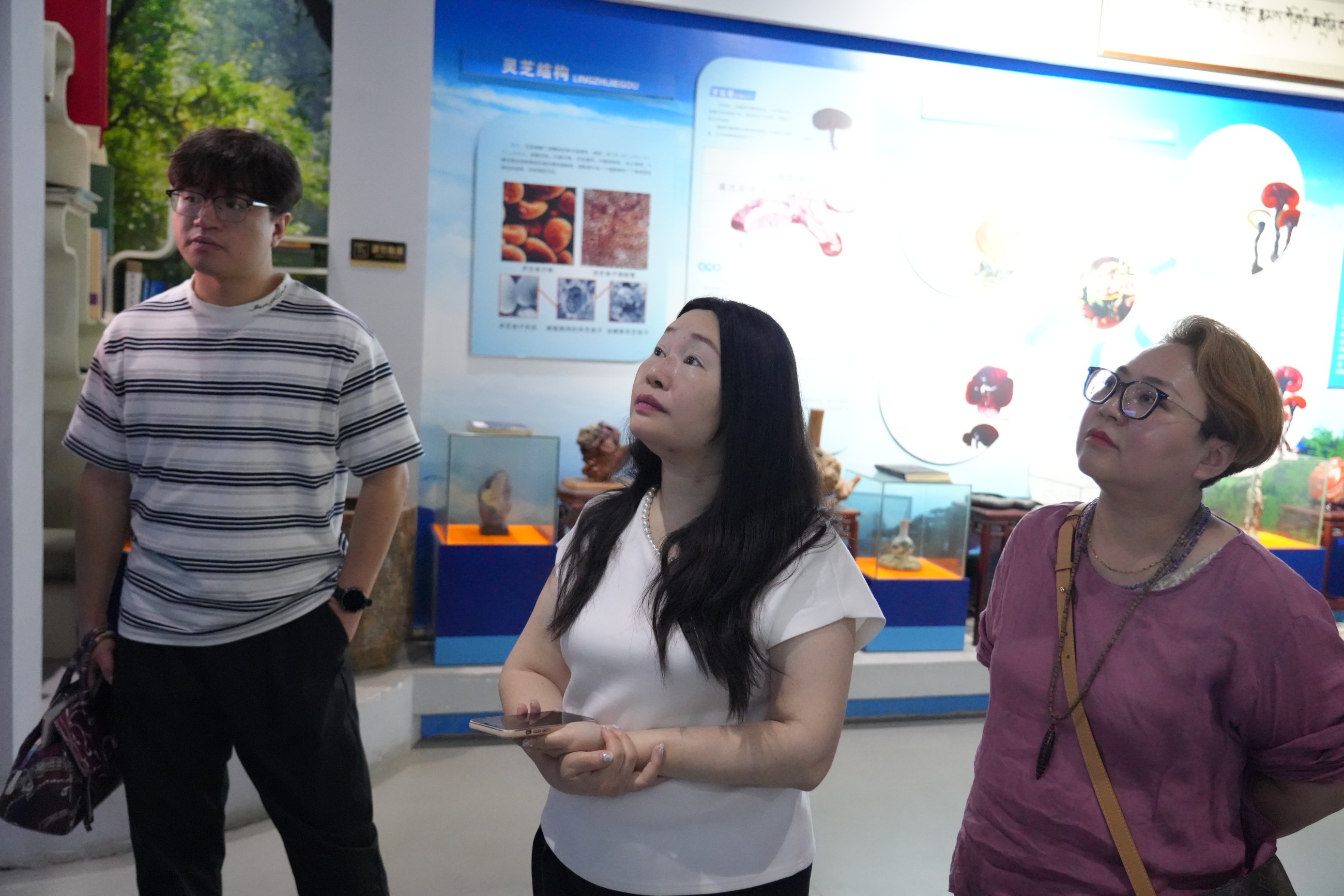 杭州亞運(yùn)會(huì)官方靈芝產(chǎn)品供應(yīng)商|杭州亞運(yùn)會(huì)官方供應(yīng)商|中國(guó)靈芝十大品牌|仙客來靈芝|仙客來靈芝破壁孢子粉|仙客來孢子油|仙客來靈芝飲片|仙客來破壁孢子粉|靈芝孢子油|孢子粉|靈芝破壁孢子粉|靈芝|中華老字號(hào)