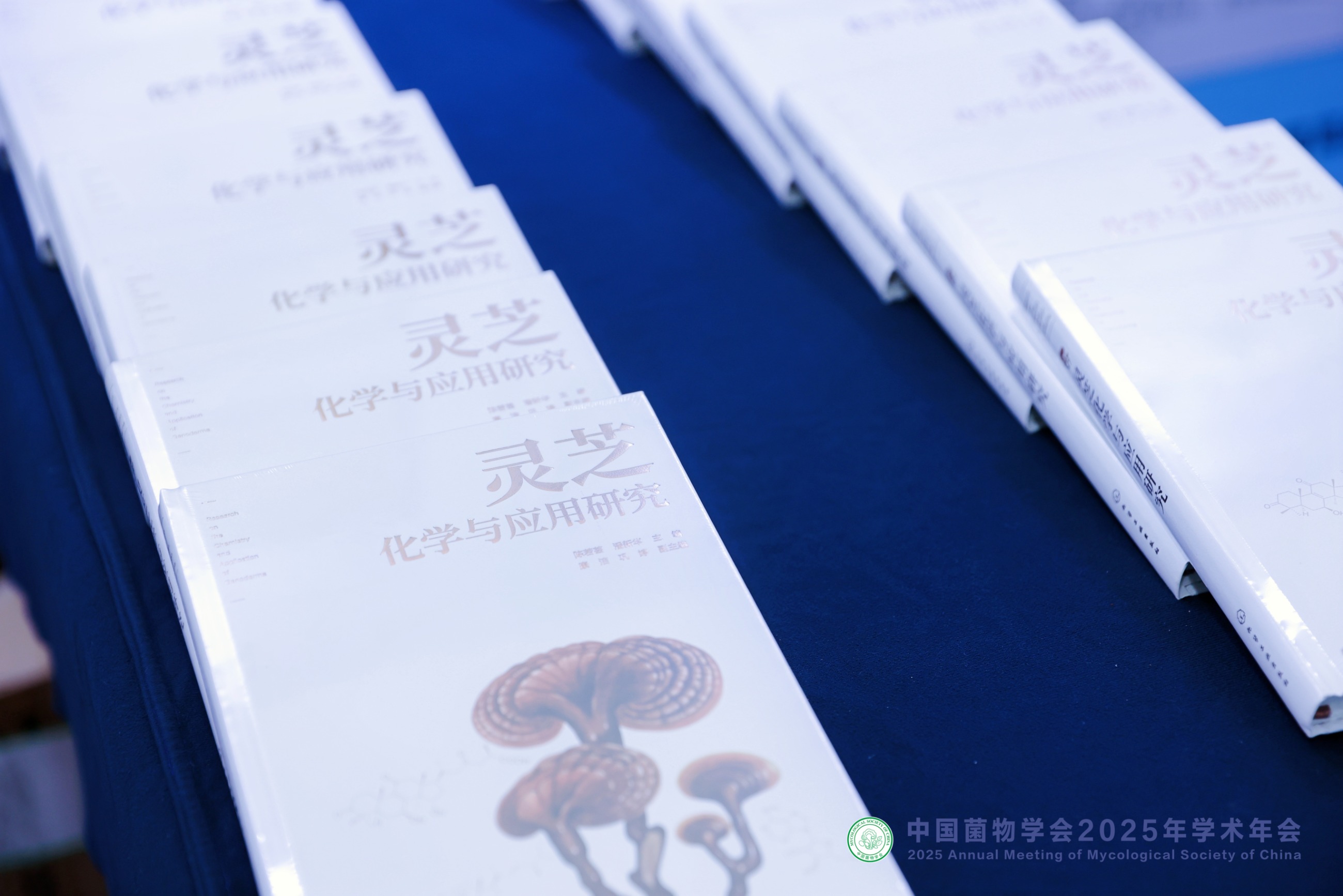 杭州亞運會官方靈芝產(chǎn)品供應商|杭州亞運會官方供應商|中國靈芝十大品牌|仙客來靈芝|仙客來靈芝破壁孢子粉|仙客來孢子油|仙客來靈芝飲片|仙客來破壁孢子粉|靈芝孢子油|孢子粉|靈芝破壁孢子粉|靈芝|中華老字號