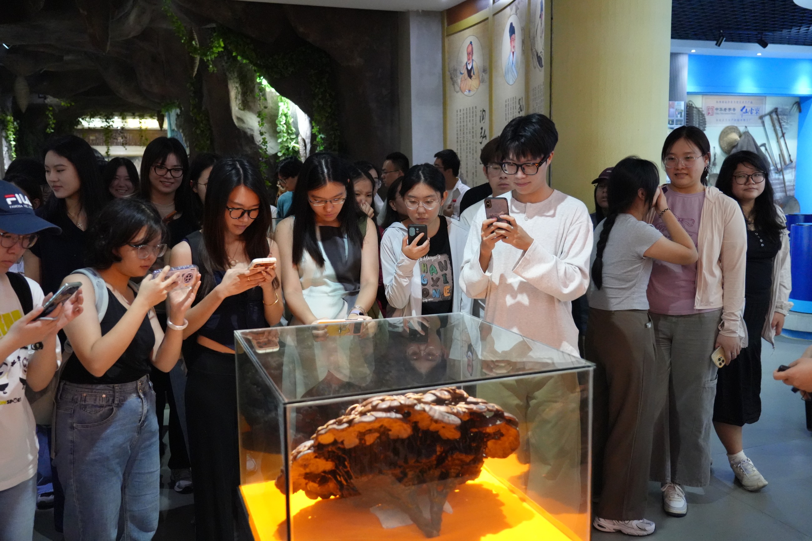 杭州亞運(yùn)會(huì)官方靈芝產(chǎn)品供應(yīng)商|杭州亞運(yùn)會(huì)官方供應(yīng)商|中國靈芝十大品牌|仙客來靈芝|仙客來靈芝破壁孢子粉|仙客來孢子油|仙客來靈芝飲片|仙客來破壁孢子粉|靈芝孢子油|孢子粉|靈芝破壁孢子粉|靈芝|中華老字號(hào)