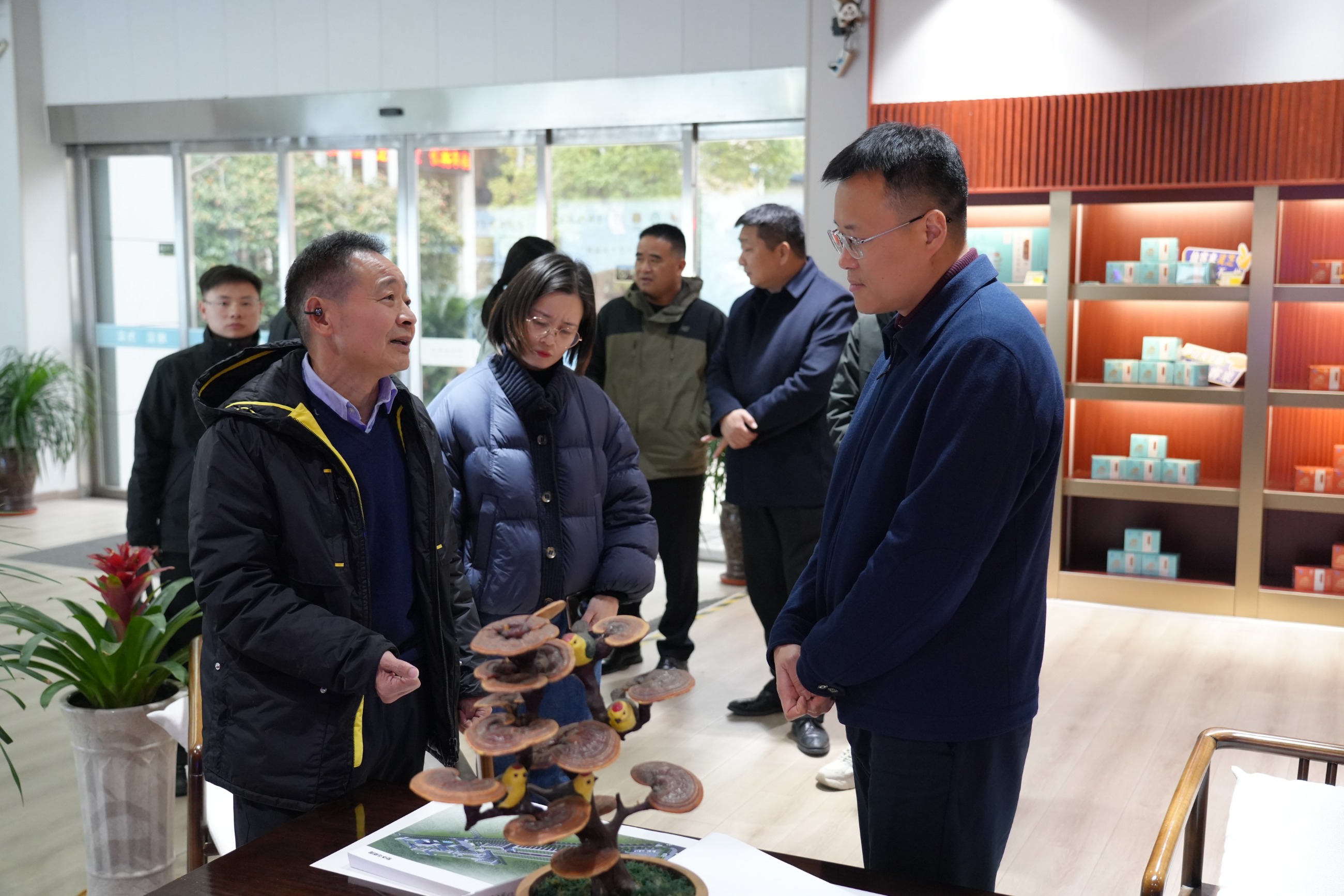 杭州亞運(yùn)會(huì)官方靈芝產(chǎn)品供應(yīng)商|杭州亞運(yùn)會(huì)官方供應(yīng)商|中國靈芝十大品牌|仙客來靈芝|仙客來靈芝破壁孢子粉|仙客來孢子油|仙客來靈芝飲片|仙客來破壁孢子粉|靈芝孢子油|孢子粉|靈芝破壁孢子粉|靈芝|中華老字號(hào)