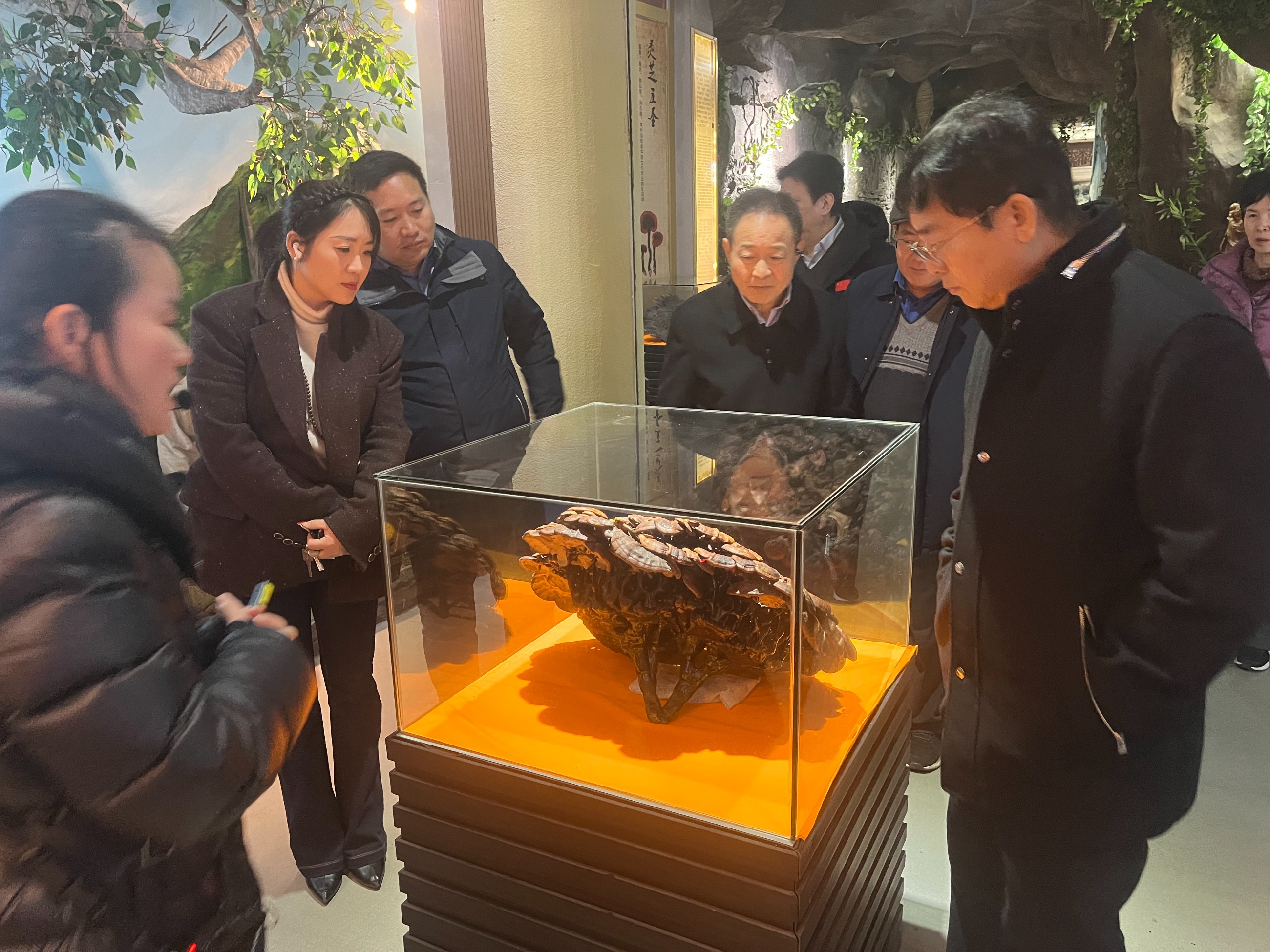 杭州亞運(yùn)會(huì)官方靈芝產(chǎn)品供應(yīng)商|杭州亞運(yùn)會(huì)官方供應(yīng)商|中國靈芝十大品牌|仙客來靈芝|仙客來靈芝破壁孢子粉|仙客來孢子油|仙客來靈芝飲片|仙客來破壁孢子粉|靈芝孢子油|孢子粉|靈芝破壁孢子粉|靈芝|中華老字號(hào) 杭州亞運(yùn)會(huì)官方靈芝產(chǎn)品供應(yīng)商|杭州亞運(yùn)會(huì)官方供應(yīng)商|中國靈芝十大品牌|仙客來靈芝|仙客來靈芝破壁孢子粉|仙客來孢子油|仙客來靈芝飲片|仙客來破壁孢子粉|靈芝孢子油|孢子粉|靈芝破壁孢子粉|靈芝|中華老字號(hào)