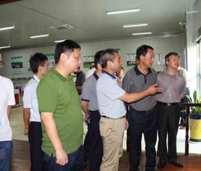 德安縣委、人大、政協(xié)領(lǐng)導(dǎo)考察仙客來公司