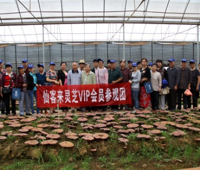 “慶國慶、賀重陽”專家義診活動在仙客來公司隆重舉行