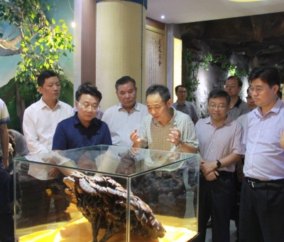 “降成本，優(yōu)環(huán)境”助企業(yè)騰飛——江西省政協(xié)副主席率團(tuán)調(diào)研仙客來！