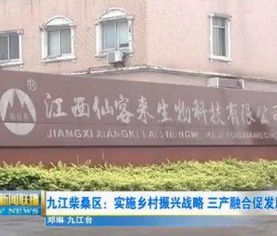 中國人只需要“別具”，缺失了“匠心”！