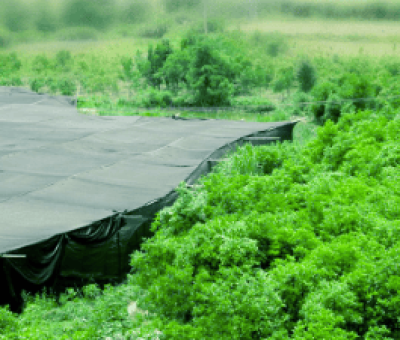 感謝廬山吧，這會(huì)是一場“仙旅情緣”