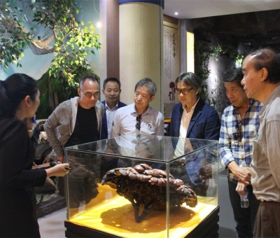 健康“良方”在這！全國(guó)政協(xié)委員、世界著名大學(xué)香港大學(xué) 榮譽(yù)院士孫少文博士蒞臨仙客來(lái)公司參觀考察