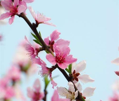 清明小長假謹防疫情！健康長壽請謹記這“三個字”