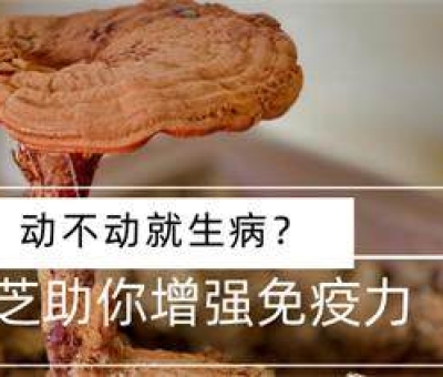 冬病夏治-如何調(diào)養(yǎng)身體？