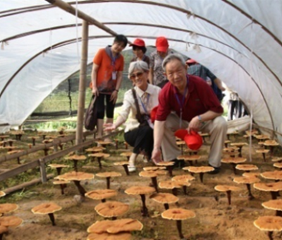 “七一勛章”獲得者張桂梅背后的故事：他們將靈芝磨成粉，送給她拌飯吃，說(shuō)，吃這些能治病