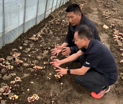 助力少數(shù)民族地區(qū)發(fā)展！潘新華應(yīng)邀前往西藏拉薩市和林芝市 共商產(chǎn)業(yè)發(fā)展良策