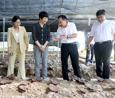 江西省委常委、宣傳部部長盧小青深入廬山市通書院村靈芝基地調(diào)研